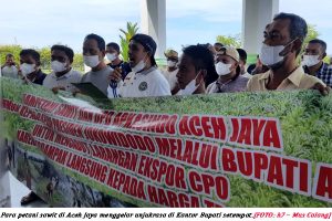 Petani Sawit Aceh Jaya Sampaikan Unek-unek