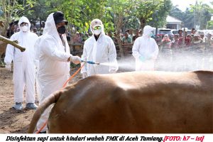 Mentan dan Wakapolda Megitasi Penyebaran PMK