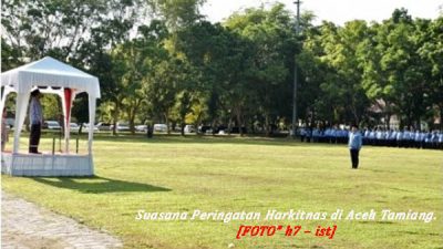 Wabup Irup Harkitnas 114 di Aceh Tamiang