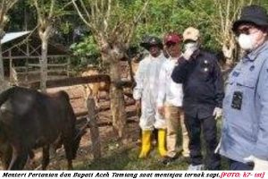 Aceh Terima Bantuan Obat-obatan dan Disinfektan