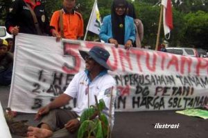 Besok, Petani Kelapa Sawit Aceh Jaya Unjukrasa