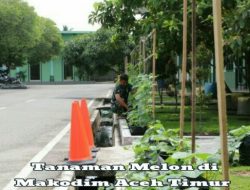 Ratusan Melon Hiasi Makodim Aceh Timur