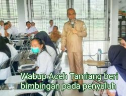Padi Organik, Nilam dan Kakao Komoditas Unggulan Aceh Tamiang