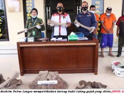 Polres Langsa Bekuk Penjual Tulang Gajah