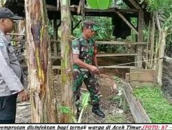 Cegah PMK, Hewan Ternak Disemprot Disinfektan