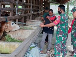 Ternak di 6 Gampong di Aceh Timur Divaksin