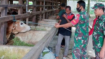 Ternak di 6 Gampong di Aceh Timur Divaksin