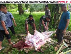 Warga Seunebok Peunteut Peudawa Potong Hewan Qurban