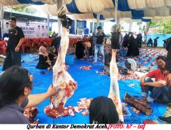 Demokrat Aceh Berqurban 9 Ekor Sapi