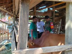 Pengecekan Kondisi Hewan Ternak Warga di Julok