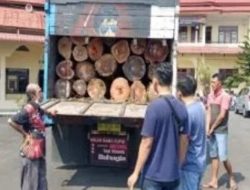 Polres Langsa Amankan Kayu Ilegal yang Ingin Dibawa ke Medan