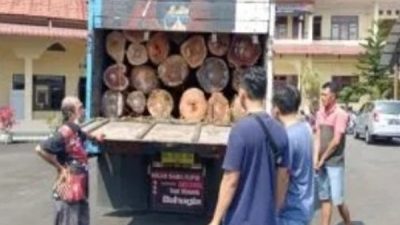 Polres Langsa Amankan Kayu Ilegal yang Ingin Dibawa ke Medan