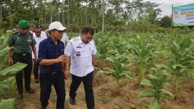 Aceh Besar Prioritaskan Kesejahteraan Petani