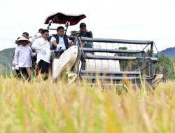 Panen Padi Perdana di Gampong Jalin