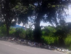 Sampah Dibiarkan Membusuk di Pinggir Jalinsum, Birem Puntong