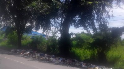 Sampah Dibiarkan Membusuk di Pinggir Jalinsum, Birem Puntong