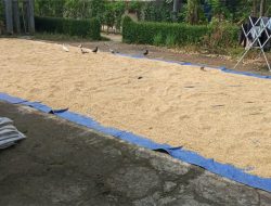 Dampak Kenaikan BBM, Harga Beras Tembus 10.000 per Kg