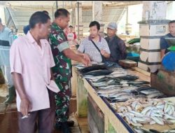 Ikan Normal, Pupuk dan Obat Tercukupi
