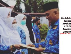 Plt Sekdakot Langsa Serahkan 133 SK Kenaikan Pangkat