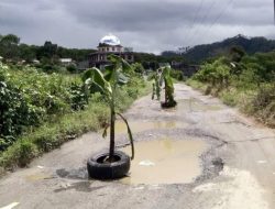 Masyarakat Bintang Tanam Pohon Pisang di Jalan