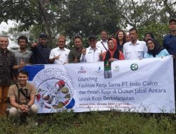 Petani Kopi Jabal Antara – PT Indo Cafco Lakukan Kerja Sama