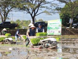 Pj Bupati Aceh Besar Awali Tanam Padi Rendengan di Indrapuri