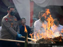 Polda Aceh Musnahkan 36 Kg Sabu dan 411 Kg Ganja