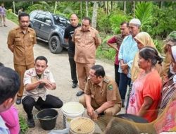 Alumni UISU Salurkan Bibit Padi