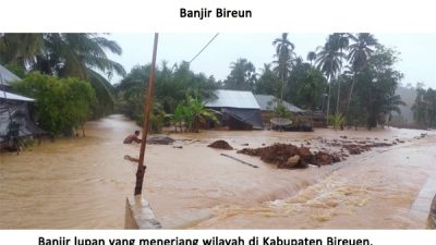 Bireuen dan Aceh Tamiang Diterjang Banjir Besar