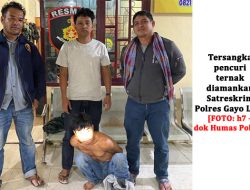 Tim Opsnal Polres Galus Ringkus Pencuri Ternak