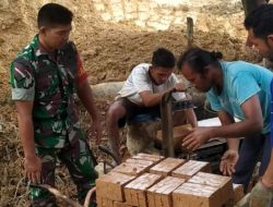 Batu Bata Usaha Potensial Mayarakat Peudawa