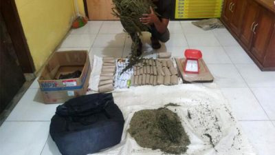 Polsek Manyak Payed Amankan Penjual Ganja