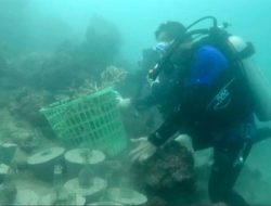 Pj Walikota: Jaga Kelestarian Terumbu Karang