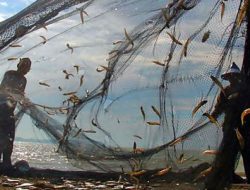 Waspada Saat Melaut, Jaga Kelestarian Ekosistem