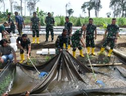 Kasdam IM: Food Estate Korem TU Jadi Role Model