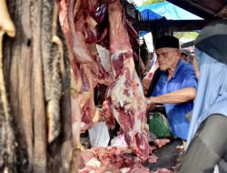 Meugang Ramadhan, Sabang Potong 50 Ekor Sapi