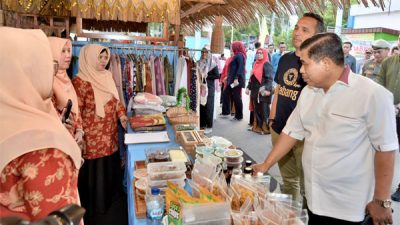 Tertarik SMF Sekjen Kemendagri Terbang ke Sabang