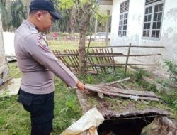 Bayi Perempuan di Buang Dalam Septic tank