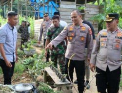 Ladang Ganja Ditemukan di Aceh Timur
