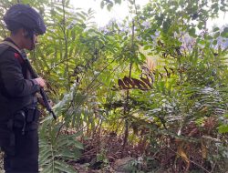 Warga Temukan Granat di Aceh Besar