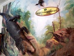 Energi Kebersamaan Ala Rahmat Shah