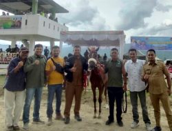 Kuda Kurcaci PWI Lolos Babak Penyisihan