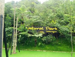 Bermain Sama Kelinci di Natural Park Takengon