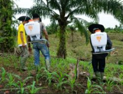 LPPM Unsam Latih Buat Fertilizer Sower Stick