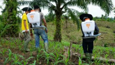 LPPM Unsam Latih Buat Fertilizer Sower Stick