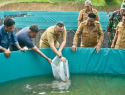 Reza Tebar 24 Ribu Lele di Gampong Paya Seunara