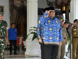 Mendagri Apresiasi Salpol PP dan Satlinmas