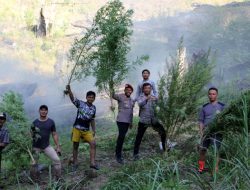 Polres Gayo Lues Musnahkan 6 Ha Ladang Ganja