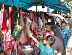 Meugang Ramadhan, Sabang Potong 79 Ekor Hewan