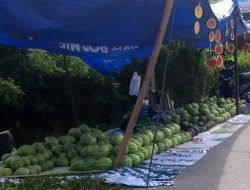 Cuaca Panas, Buah Primadona untuk Berbuka Puasa